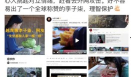 每日吃瓜播报视频