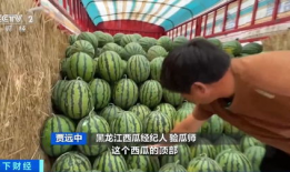 文安梅花姐吃瓜视频,揭秘娱乐圈幕后故事