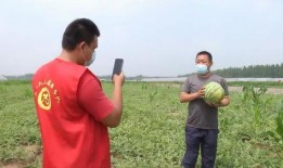 徒手劈瓜怎么吃最好视频,视频教你最佳食用之道