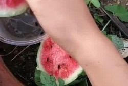 高手在民间吃瓜视频,揭秘那些不为人知的幕后故事