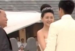 沈阳吃瓜汪小菲事件视频,视频揭秘幕后真相