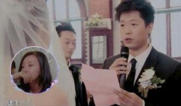 参加婚礼吃瓜视频大全集,趣味瞬间大盘点