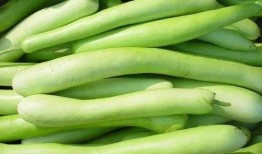 吃瓠子瓜要去皮吗视频,视频教你轻松去皮