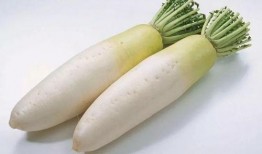 水瓜渣苗可以吃吗视频大全