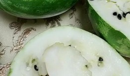 网红东北吃瓜最新视频,揭秘幕后故事，笑料百出！