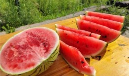 云州区吃瓜视频,揭秘当地特色美食与风土人情