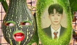 吃瓜勾脖子的视频素材,网络热门视频幕后故事揭秘