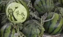 滨州吃瓜少女是谁啊视频