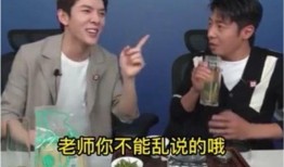 撒贝宁吃瓜视频,揭秘娱乐圈幕后故事