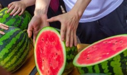 云南高校吃瓜视频资源