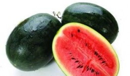 吃牛角蜜瓜视频大全集在线观看