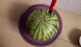 歪瓜怎么吃视频,解锁美味新境界