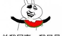 我是吃瓜群众视频,一场全民参与的娱乐盛宴