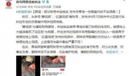 宜丰吃瓜事件真相视频播放