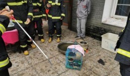 小孩偷瓜吃被蛇咬死了视频,不幸丧命