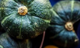 半年吃瓜真实经历视频,娱乐圈幕后真相大曝光