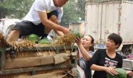 长垣市吃瓜事件视频,一场引发热议的网络视频风波