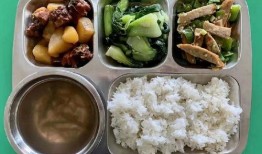 重庆校园吃瓜事件视频,揭秘校园网络暴力背后的真相