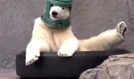 吃瓜沙雕套路视频大全下载,笑料横生，一网打尽！