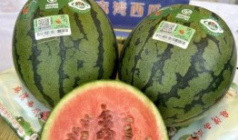 特产瓜条能直接吃吗视频