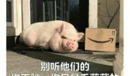 吃瓜少女猪猪解说视频,猪猪吃瓜少女带你领略解说视频魅力