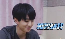 王俊凯今日吃瓜视频,揭秘娱乐圈幕后故事