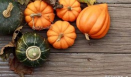 世冠吃瓜视频,揭秘赛场背后的精彩瞬间