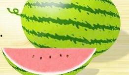 吃瓜比赛视频素材下载,吃瓜比赛视频素材盘点