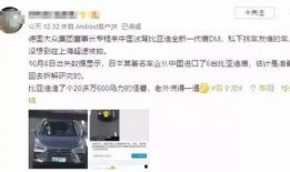 元旦群众吃瓜视频