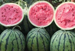 圈内吃瓜真假鉴别视频,真假信息辨析指南