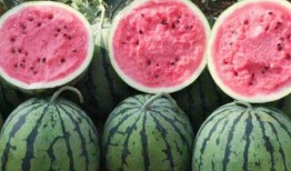 圈内吃瓜真假鉴别视频,真假信息辨析指南