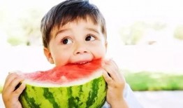 宝宝抢脆瓜吃的视频教程,趣味视频教程轻松上手