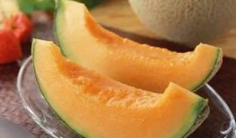 吃哈密瓜美食博主视频,博主带你领略瓜中佳肴的魅力