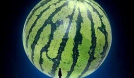 八卦吃瓜配曲视频,揭秘八卦背后的音乐故事