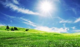 草地吃瓜拍照姿势视频大全