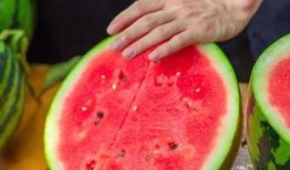 国内高校吃瓜视频,揭秘校园美食背后的那些事