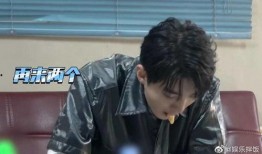 王俊凯今日吃瓜视频,揭秘娱乐圈幕后故事