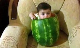 湖州吃瓜事件网红视频,网红视频引发的全民热议