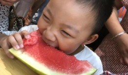 吃瓜姿势的视频,视频中的趣味瞬间