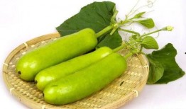 瓜被鸟吃还会结瓜吗视频,意外催生奇妙果实现象揭秘