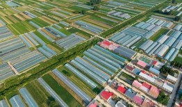 郑州中牟吃瓜群众视频,街头热辣瞬间，揭秘民间生活百态