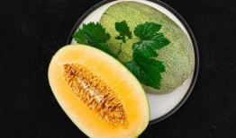 旅游女子吃蜜瓜视频下载,女子旅游视频中的甜蜜瞬间下载分享