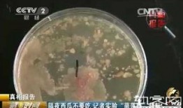 中央财经吃瓜视频,揭秘财经圈幕后故事