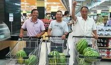 第一届吃瓜比赛视频大全,趣味横生的视觉盛宴