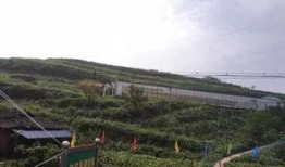 长垣苗寨吃瓜事件视频,一场引发热议的乡村奇观