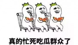 我是吃瓜群众视频,一场全民参与的娱乐盛宴