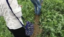 新平湖吃瓜群众视频,揭秘当地热门事件背后的真相