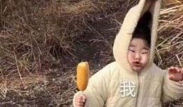 吃瓜系统沙雕视频合集,带你领略欢乐无限