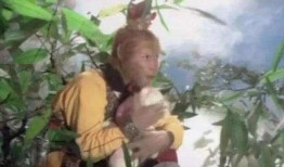 悟空吃瓜事件视频,一场网络狂欢背后的真相揭秘