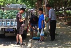 襄城县吃瓜群众事件视频,网络围观下的社会现象解析